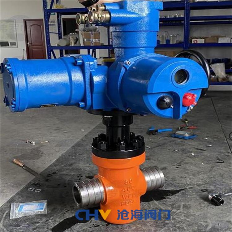 CHVJ滄海S19CZF-133-20Mpa超高壓平板閘閥